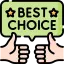 Best Choice Icon